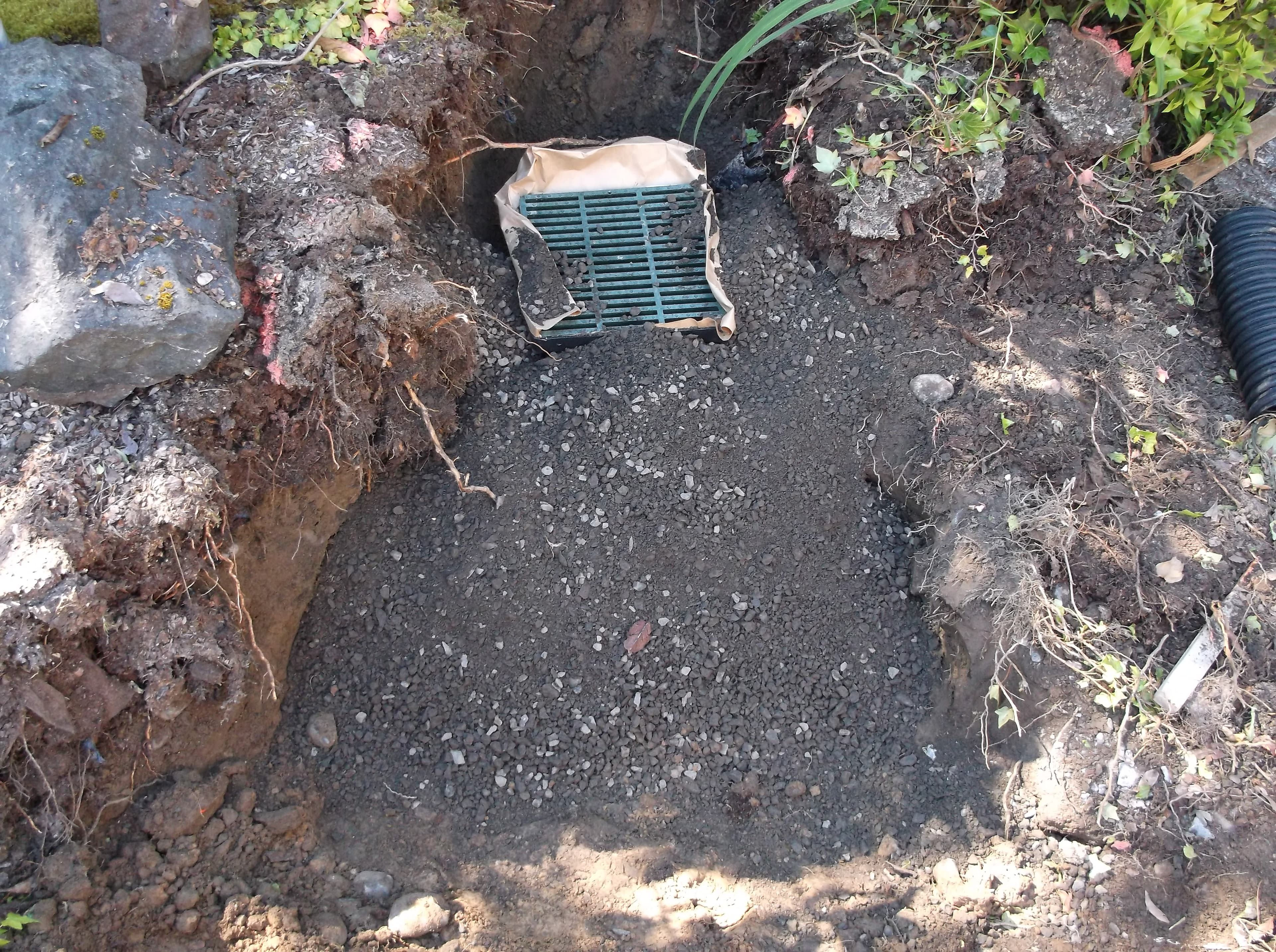 drain-fields-1.jpg